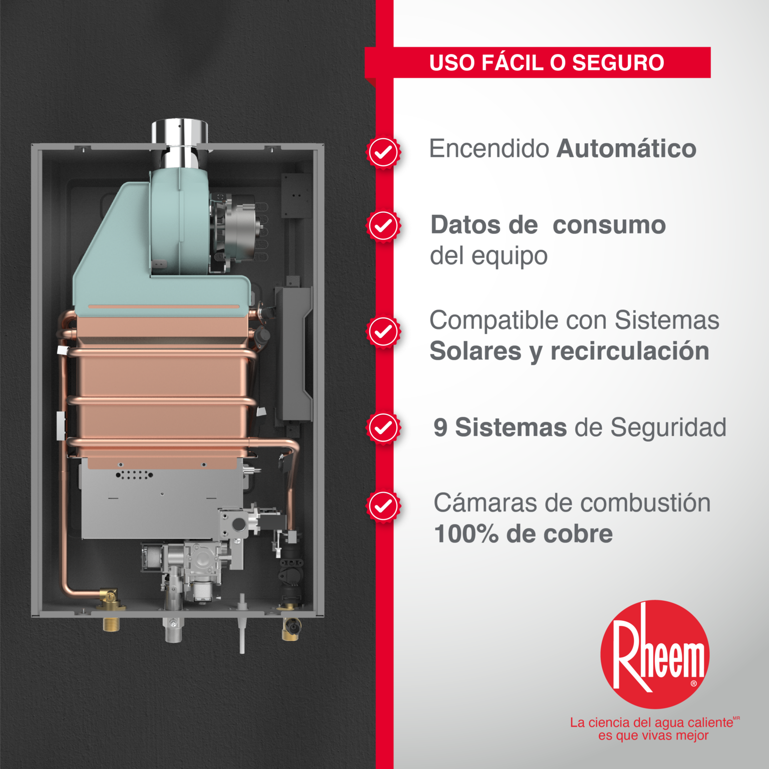 Calentador De Agua 06lt Tiro Forzado Rheem Colombia