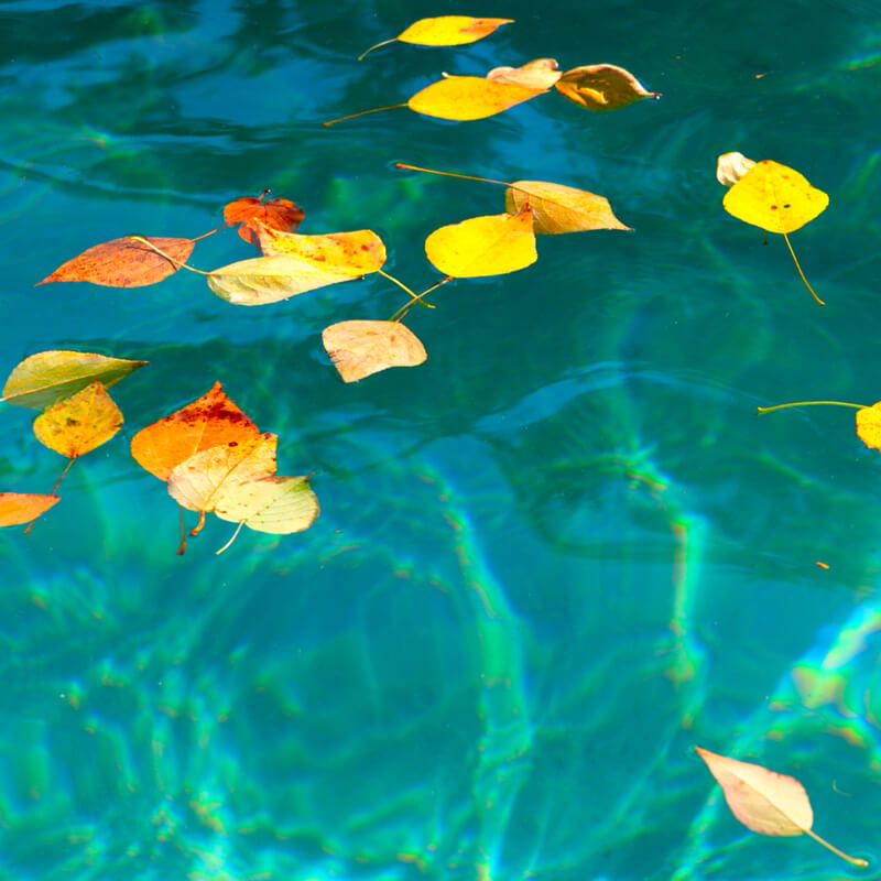 How to extend pool season in autumn