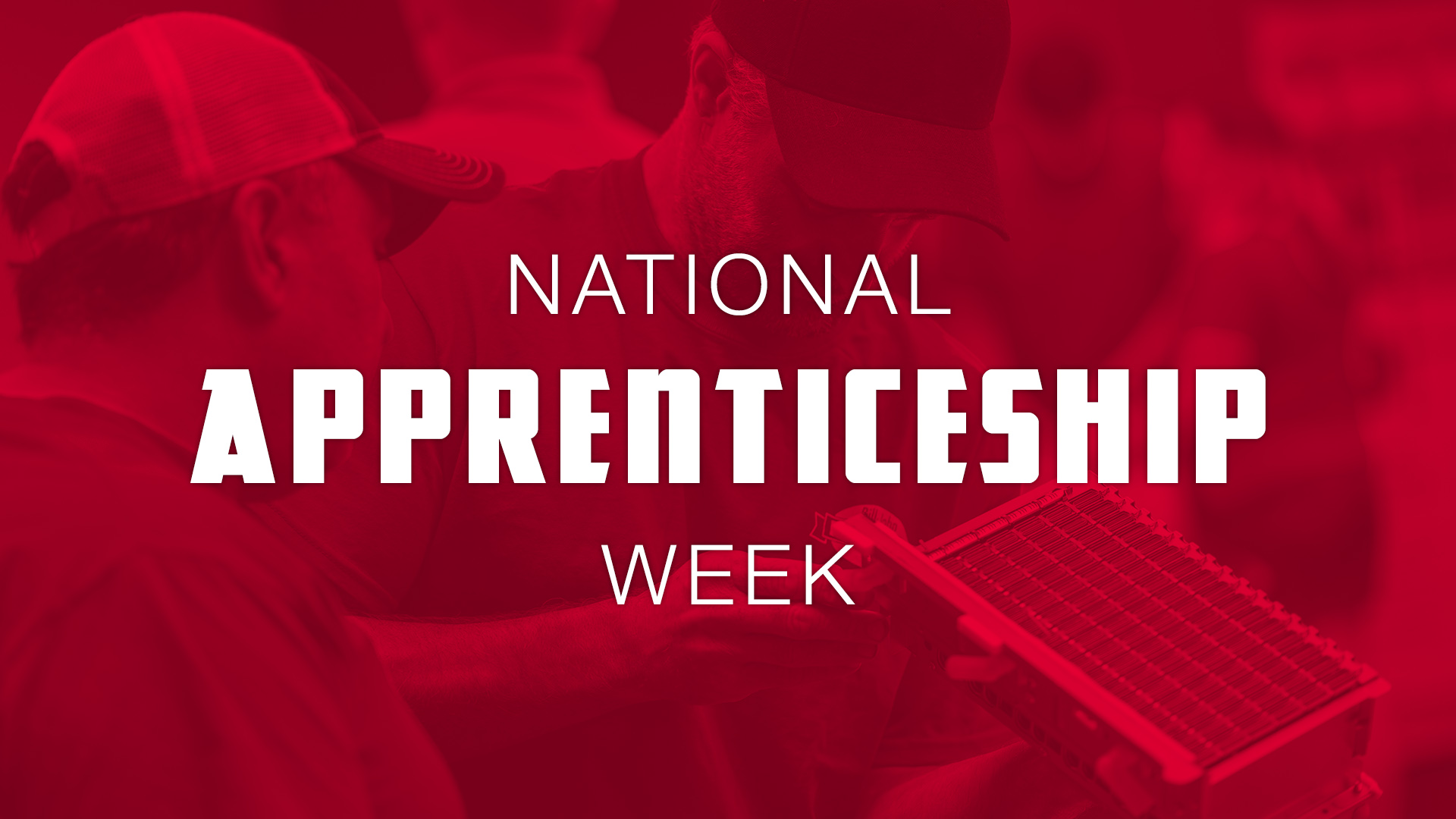 national apprenticeship week plumber support