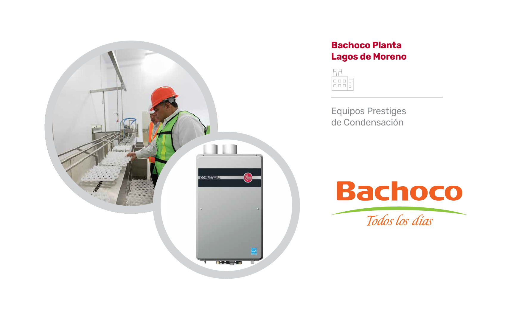 Bachoco Rheem