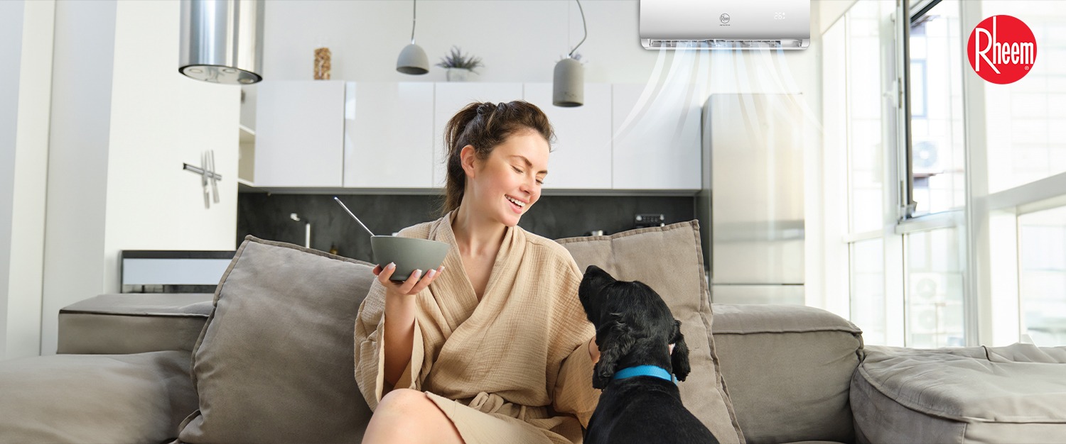 rheem blog 2