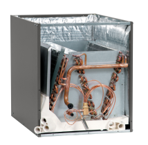 Cased and Uncased 
