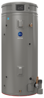 Rheem 40 Gallon Light Duty Commercial Electric Water Heater with Terminal Block